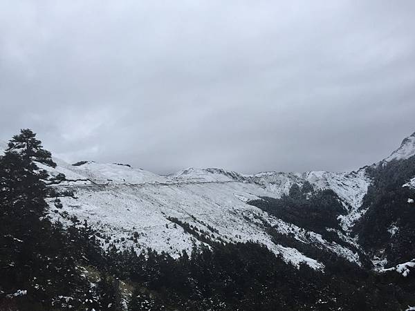 合歡山~下雪了~