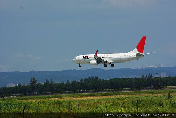 JAL B738(JA310J)