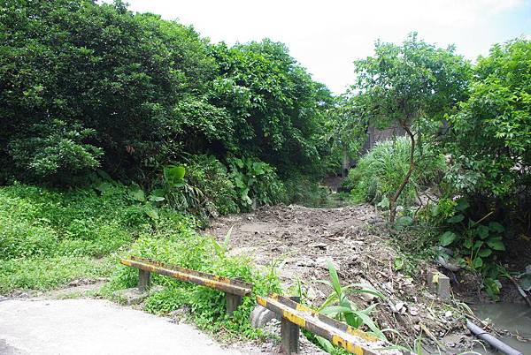 通往電廠的軌道已經拆光了