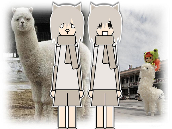 800px-Alpaca_shota.png 800px-Alpaca_shota.png