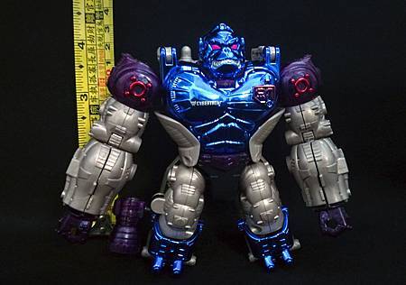 Optimus Primal_5