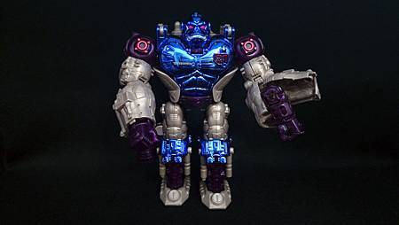 Optimus Primal_19-2