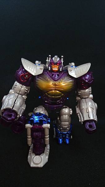 Optimus Primal_24