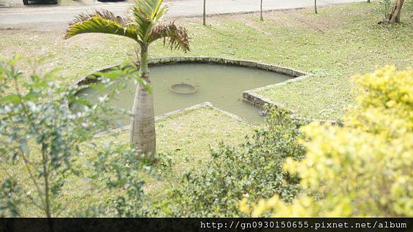 183492_203461759669763_2519393_n