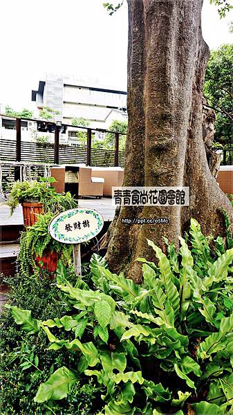 【食記/台北市】潔白的教堂,藍色湖面,免出國彷彿來到了巴里島渡假♪青青食尚花園會館♪ 【食記/台北市】潔白的教堂,藍色湖面,免出國彷彿來到了巴里島渡假♪青青食尚花園會館♪