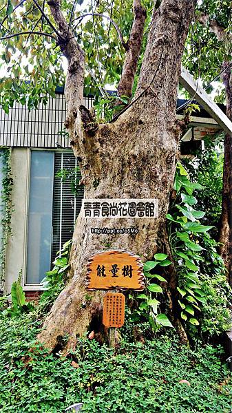 【食記/台北市】潔白的教堂,藍色湖面,免出國彷彿來到了巴里島渡假♪青青食尚花園會館♪ 【食記/台北市】潔白的教堂,藍色湖面,免出國彷彿來到了巴里島渡假♪青青食尚花園會館♪