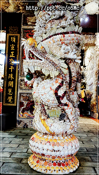 DSC00049 DSC00049