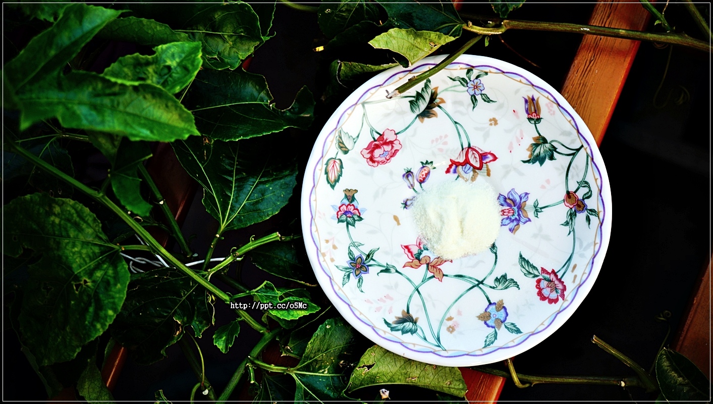 DSC02004 DSC02004