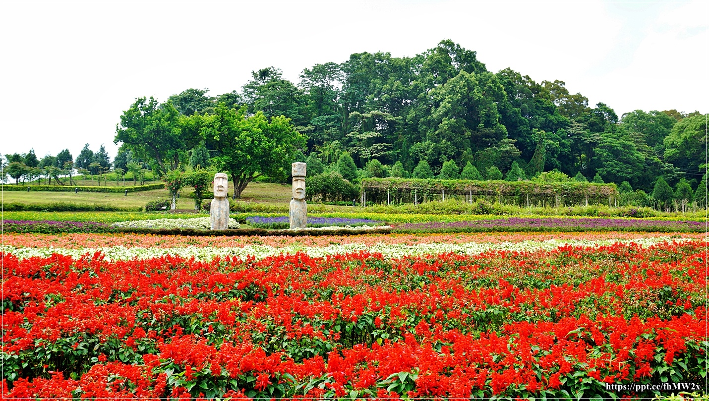 【桃園景點】大溪花海農場／偶像劇最愛取景聖地～不用出國也能看到摩艾，四季都能欣賞到不同的花卉跟顏色，不用去陽明山也能拍美美的繡花球