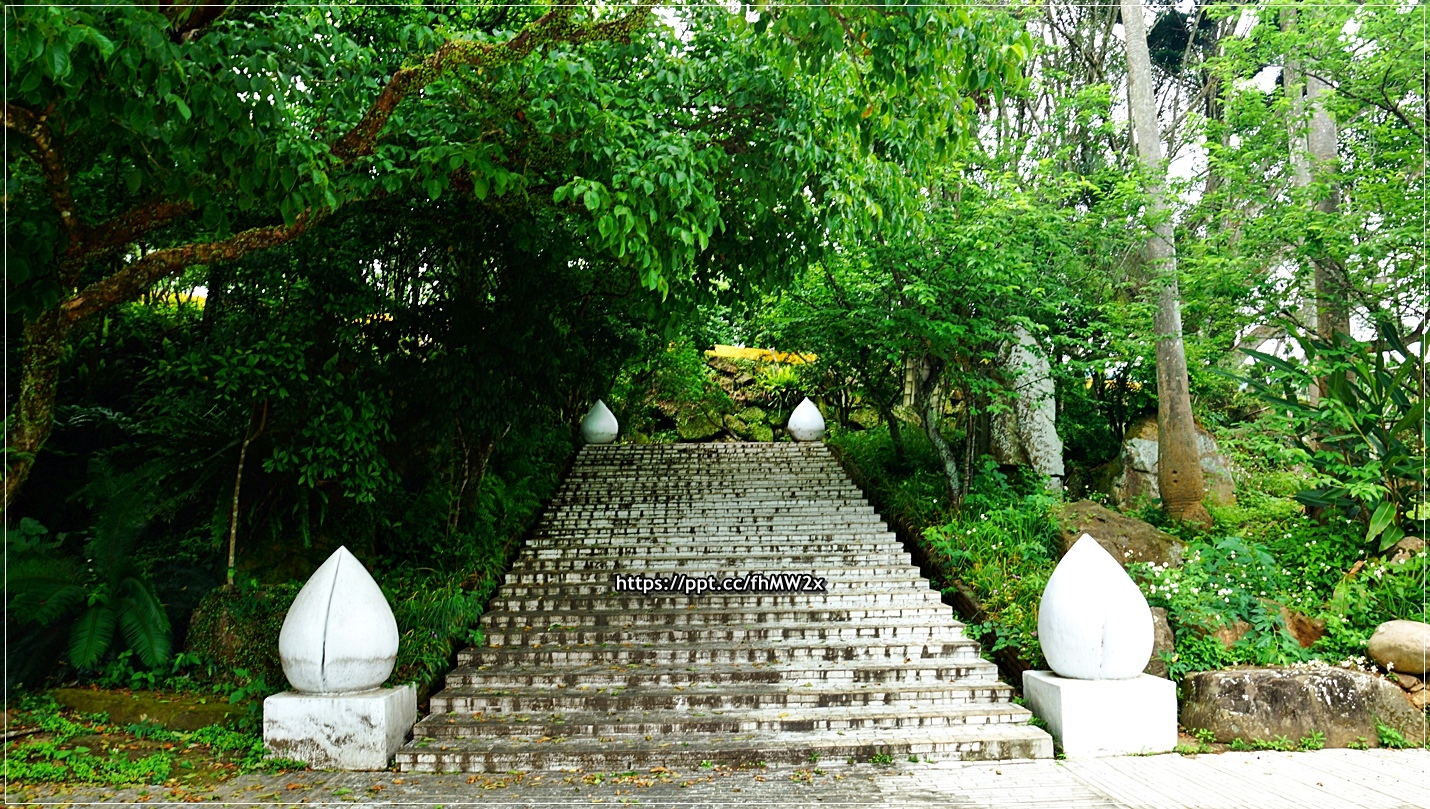 DSC09995