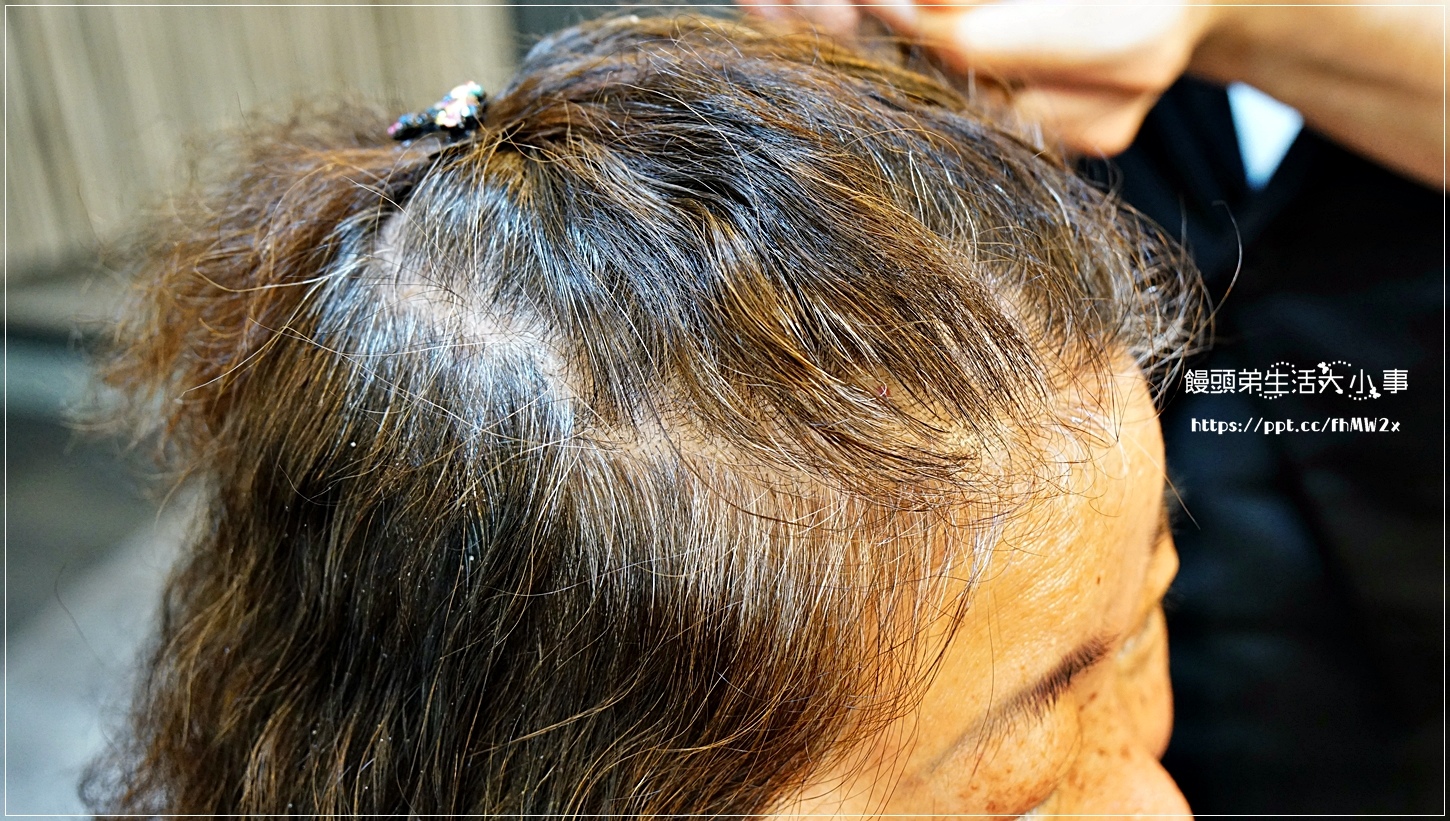 01DSC02731 01DSC02731