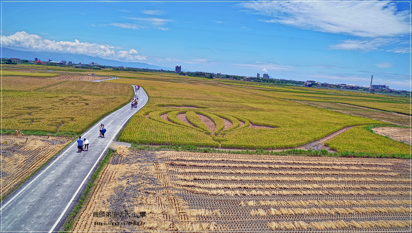 宜蘭景點 Ig熱門打卡 夏季限定景點 宜蘭版伯朗大道 冬山鄉三奇村稻間美徑 蘭陽平原美得讓人驚艷 饅頭弟