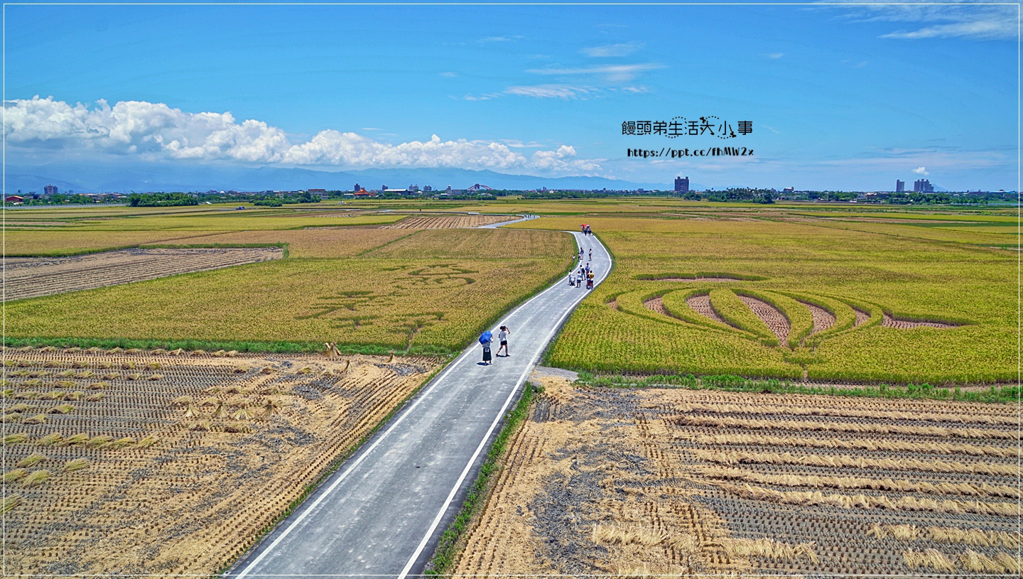 【宜蘭景點】IG熱門打卡～夏季限定景點，宜蘭版伯朗大道，冬山鄉三奇村稻間美徑，蘭陽平原美得讓人驚艷