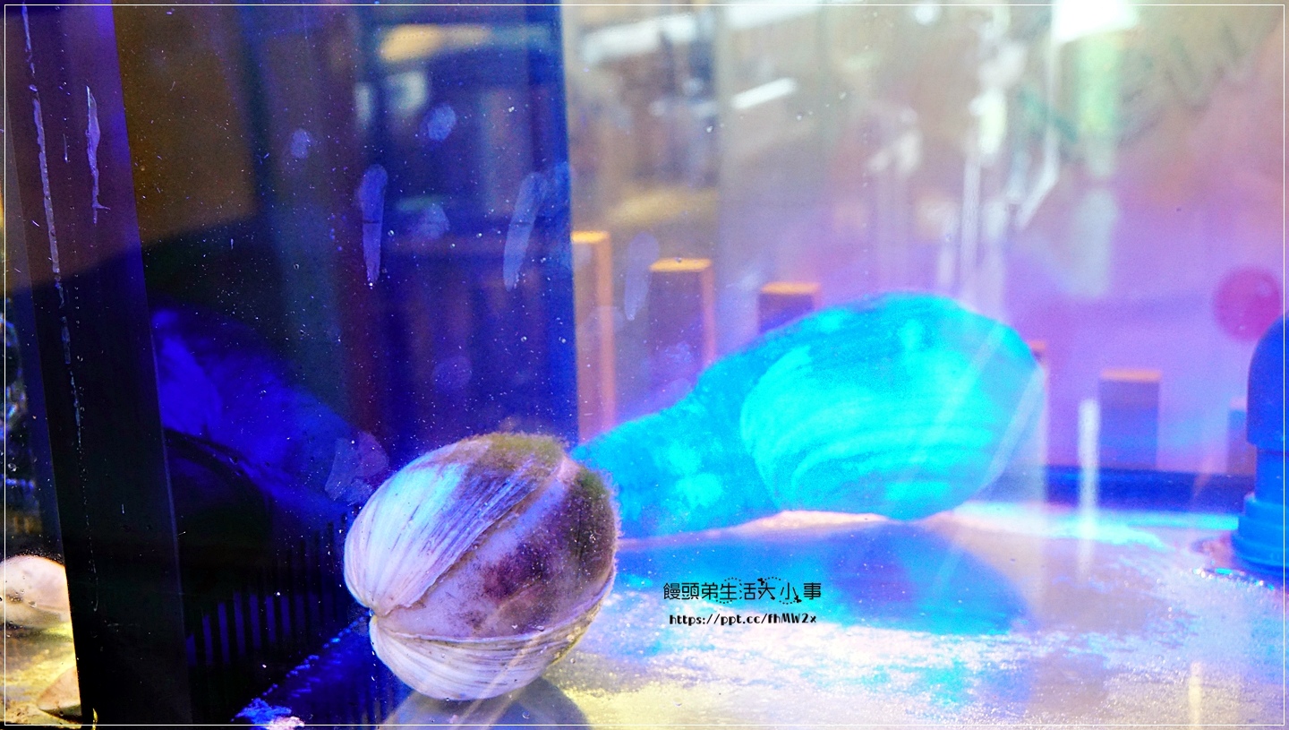 02DSC02587