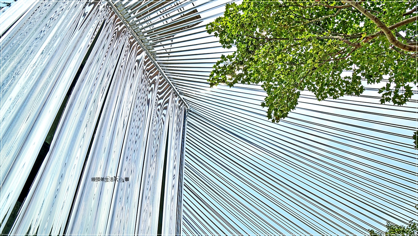 02DSC04977 02DSC04977