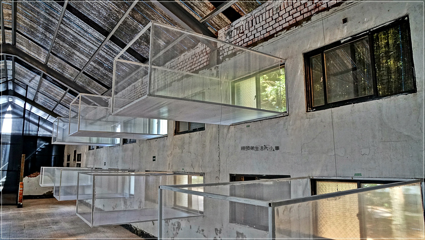 02DSC04930 02DSC04930