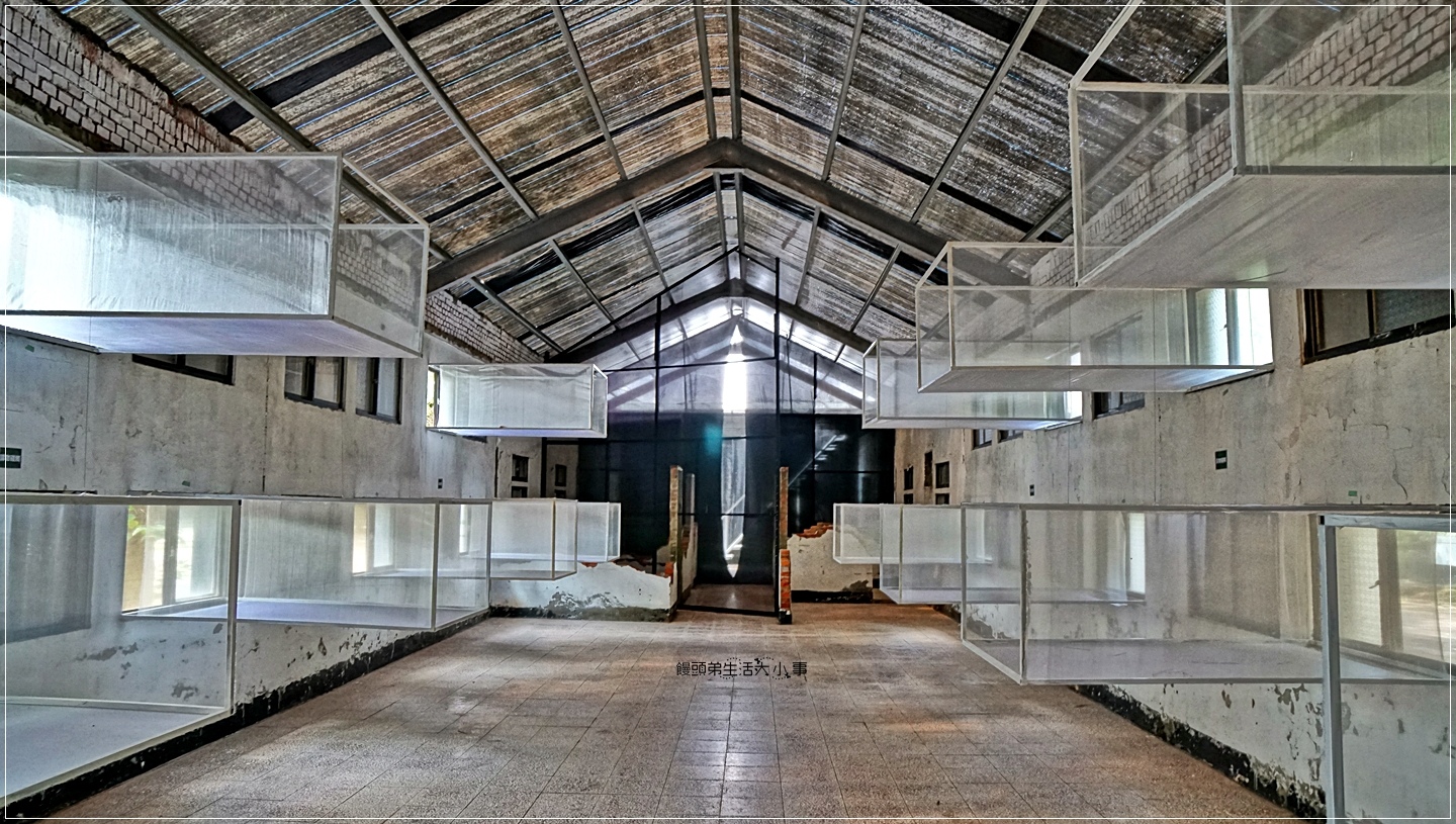 02DSC04929 02DSC04929