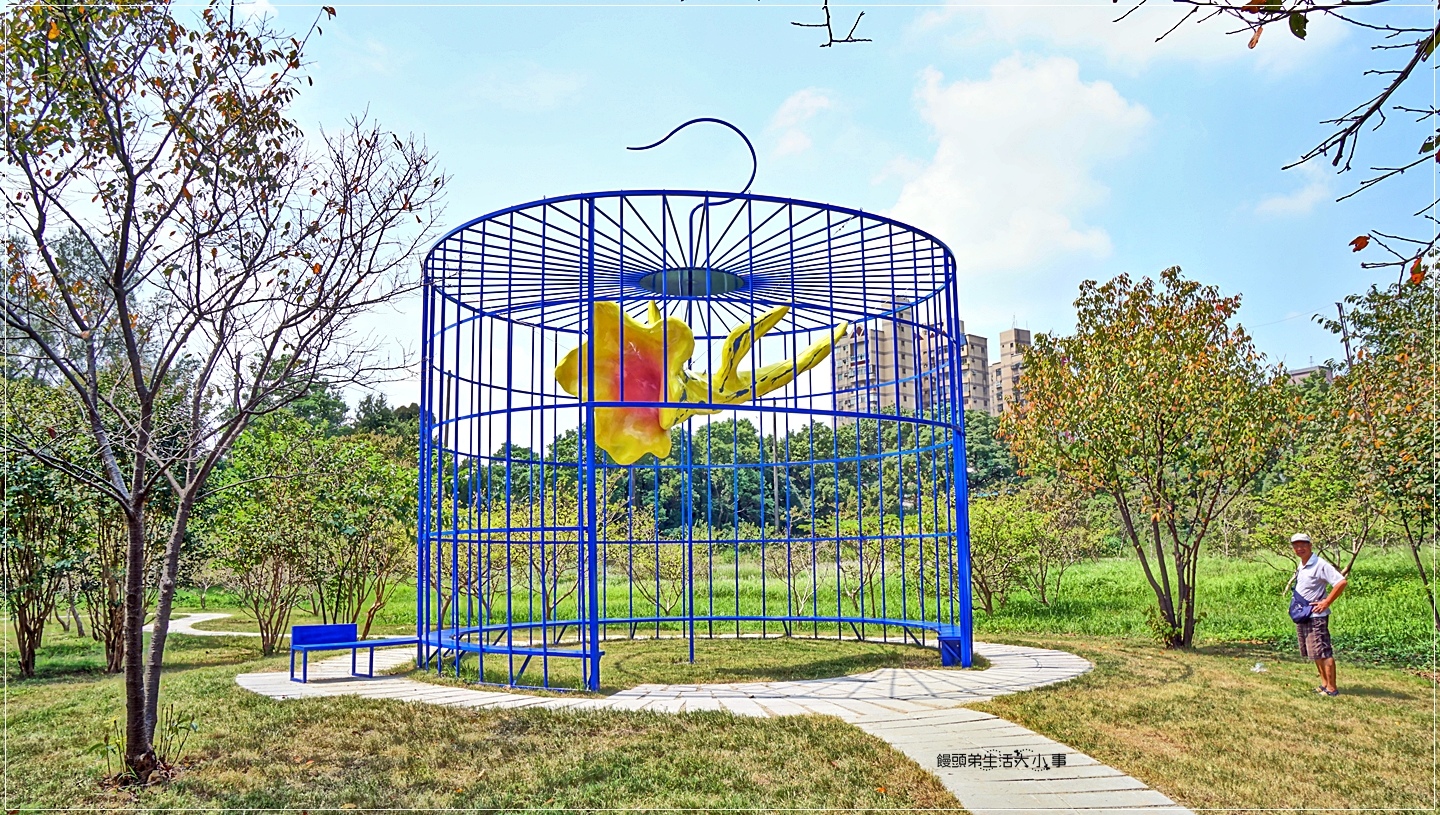 02DSC04939 02DSC04939