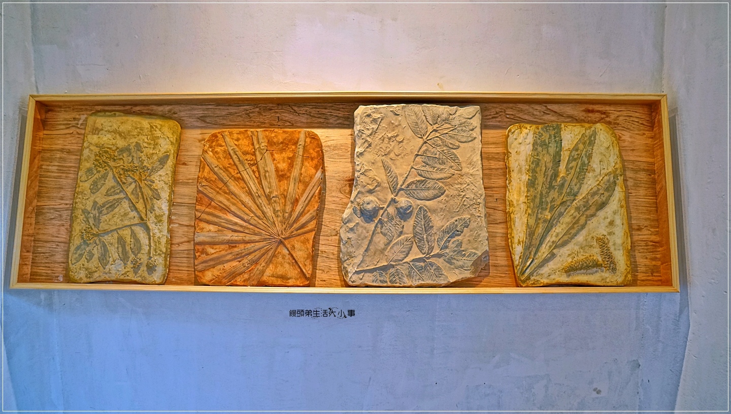 02DSC04936 02DSC04936