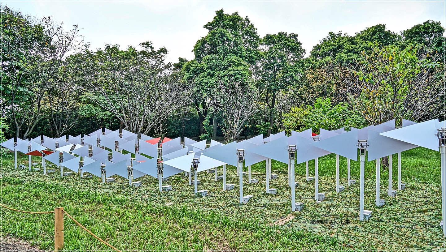 02DSC04953 02DSC04953