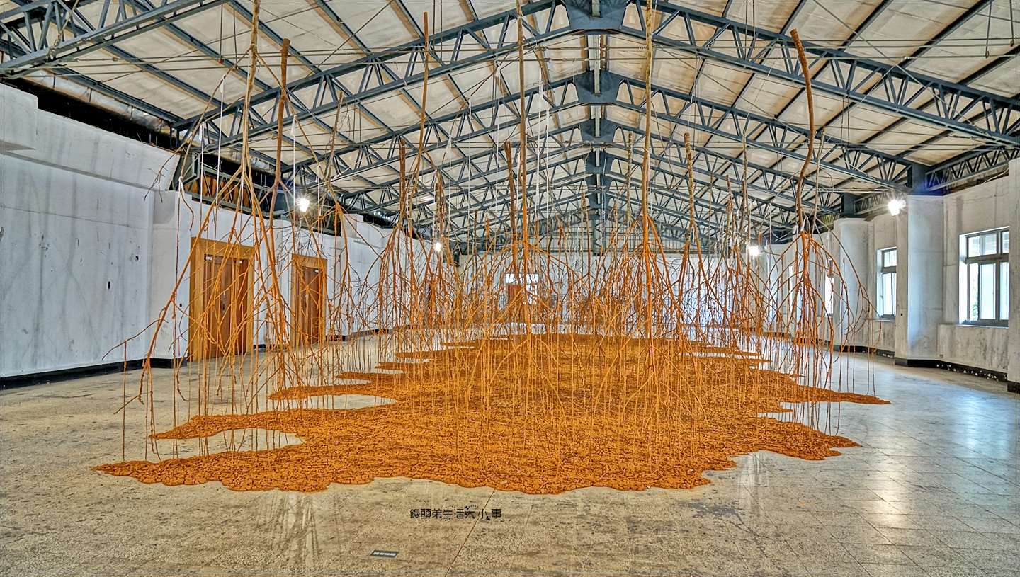 02DSC04972 02DSC04972