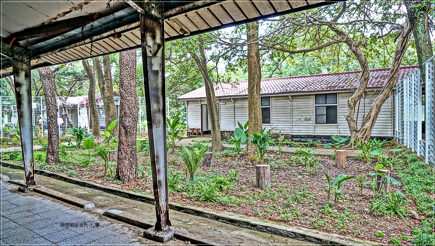 02DSC04959 02DSC04959