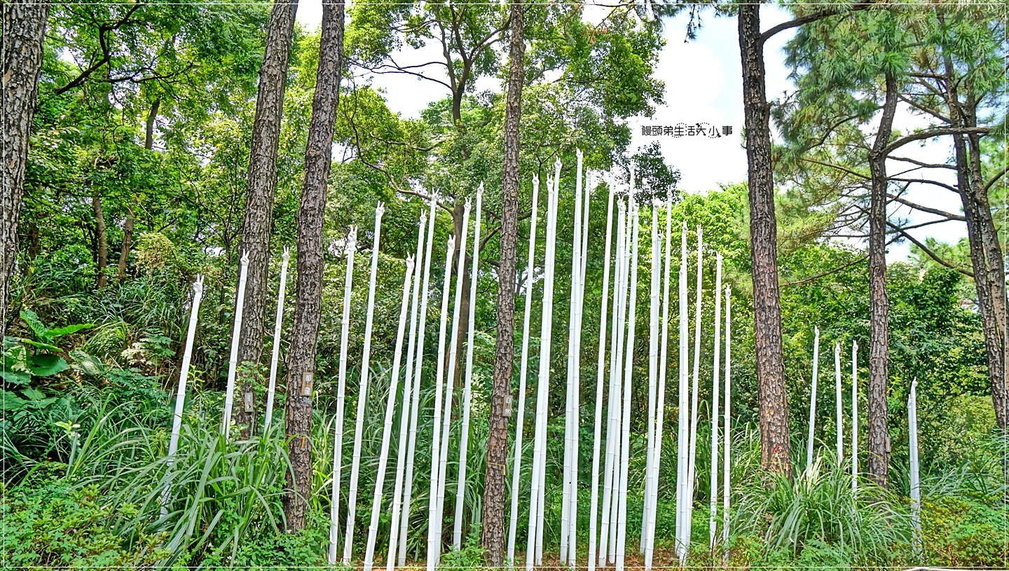 02DSC04980 02DSC04980