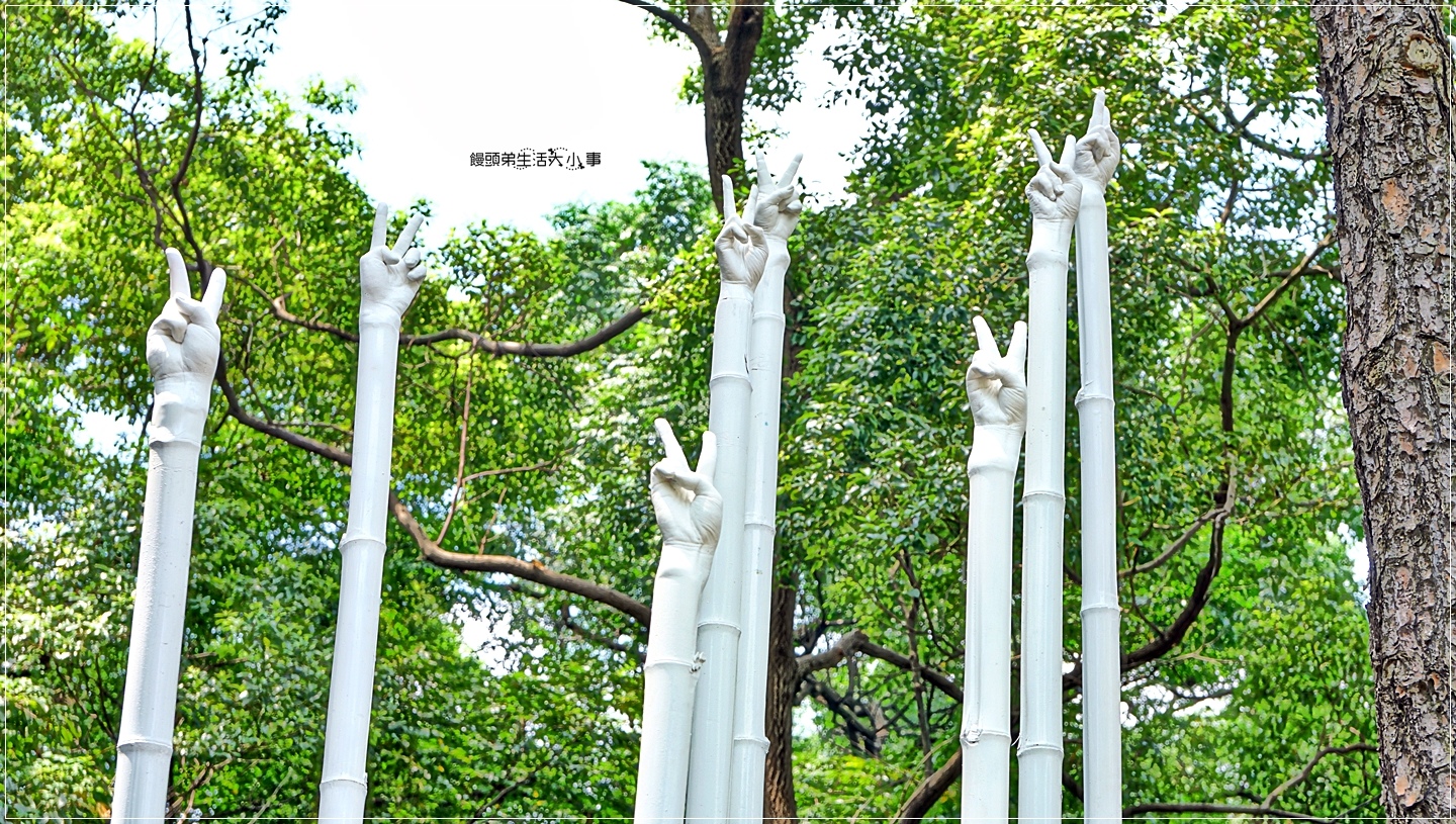 02DSC04981 02DSC04981