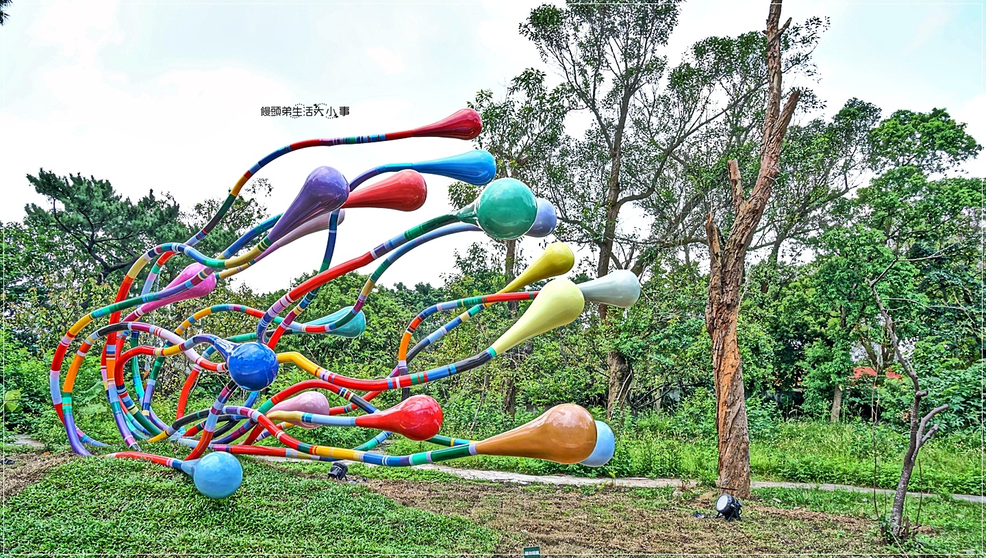 02DSC04962 02DSC04962