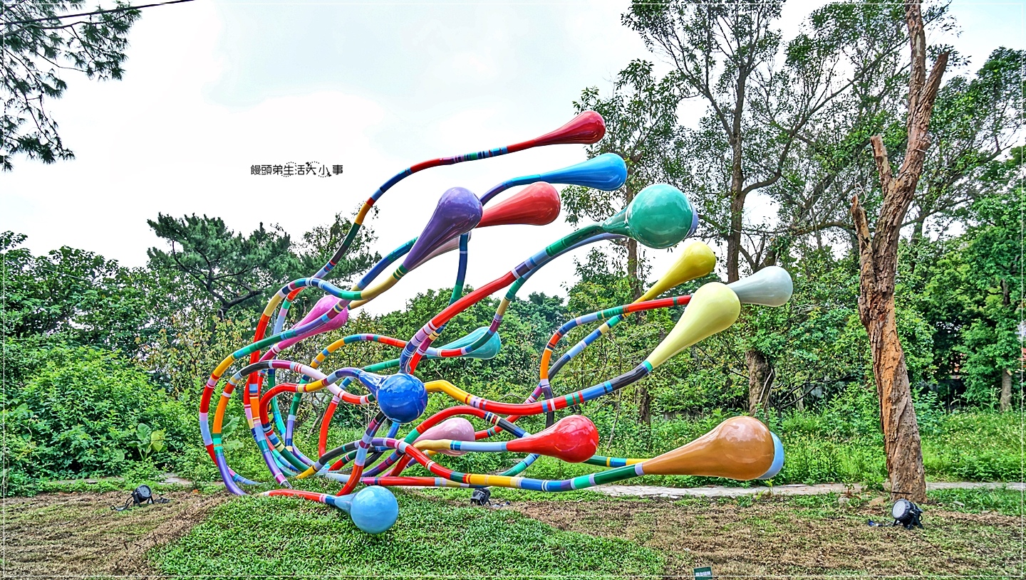 02DSC04960 02DSC04960