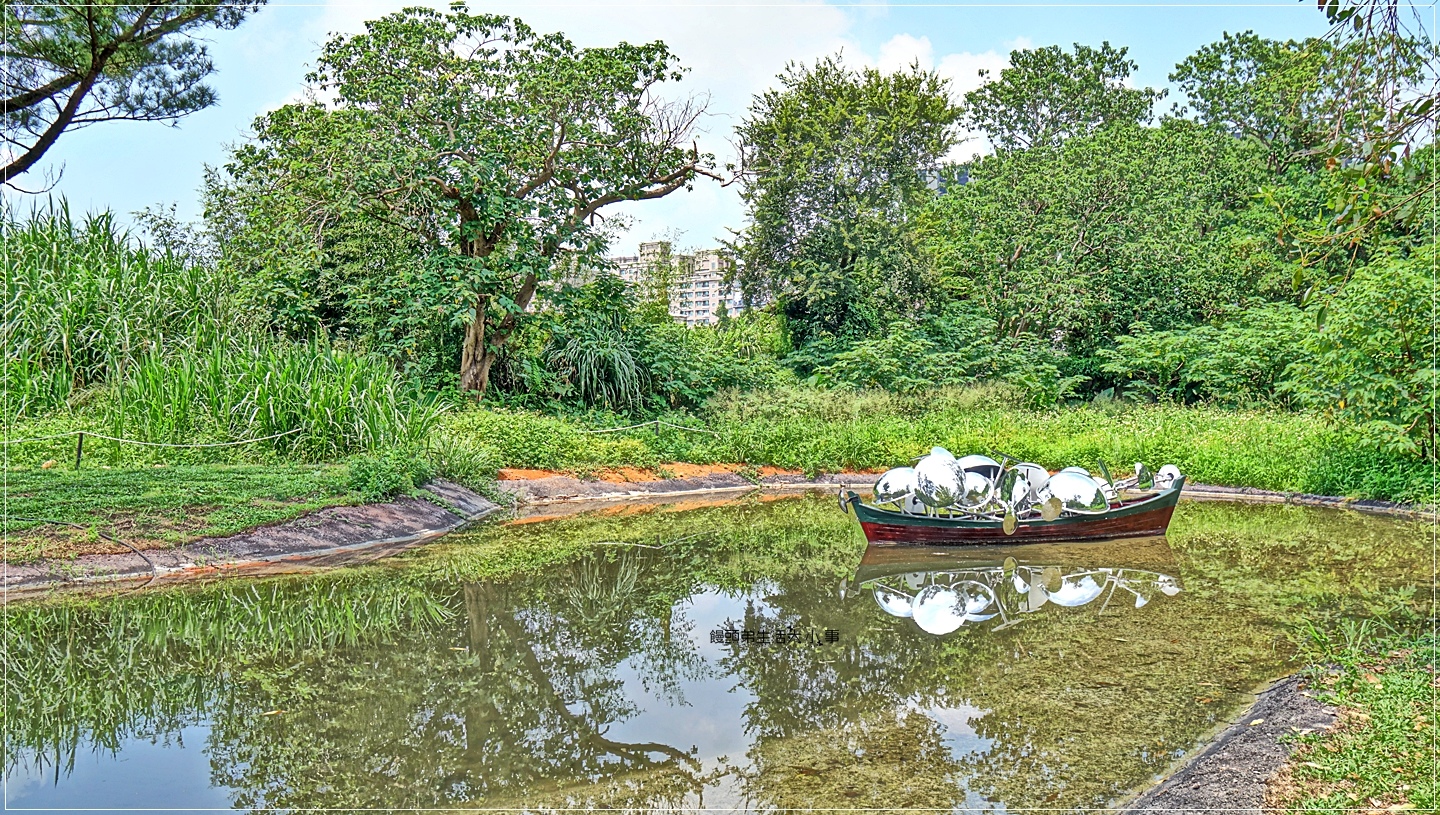 02DSC04976 02DSC04976