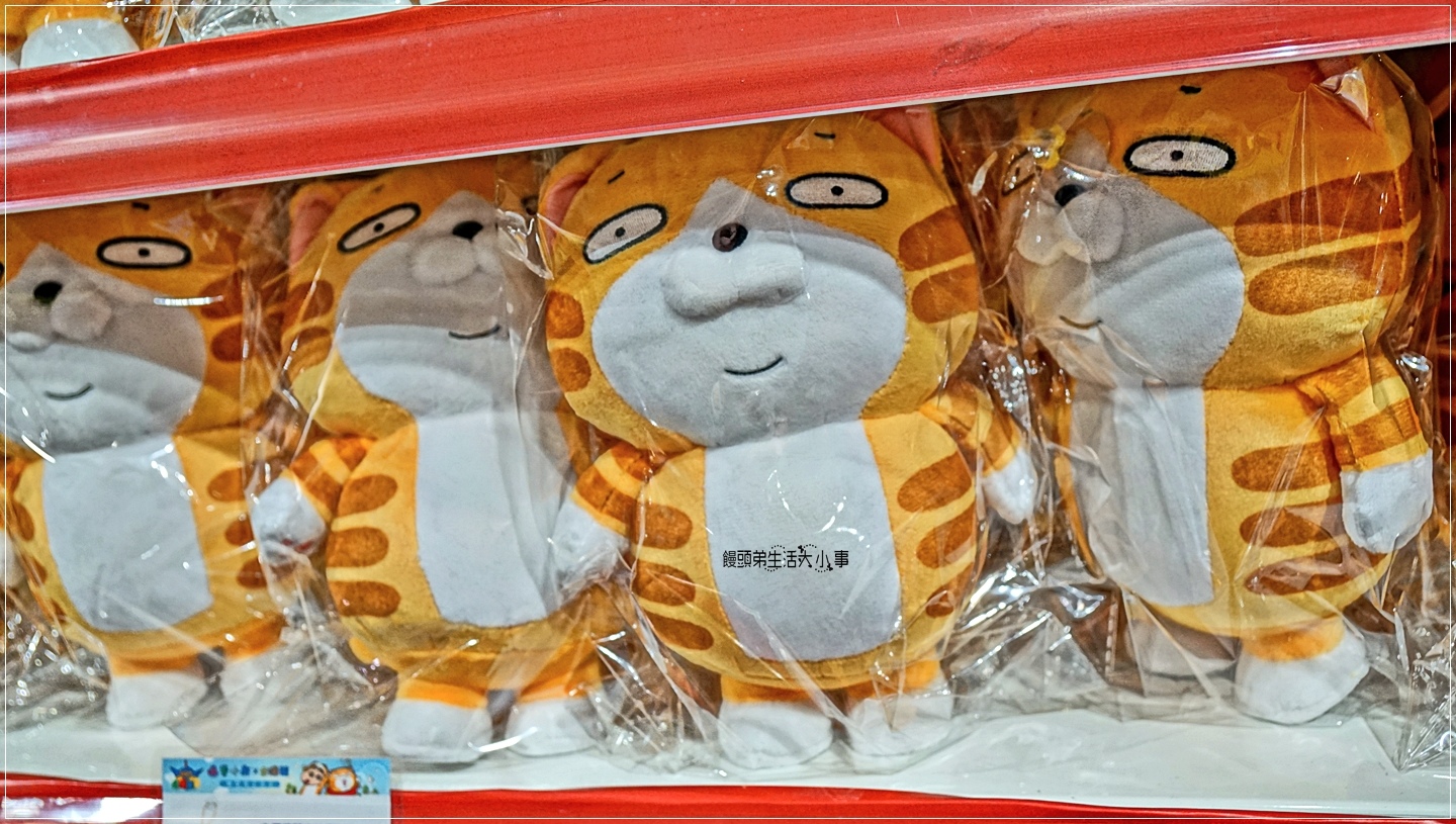 02DSC01143