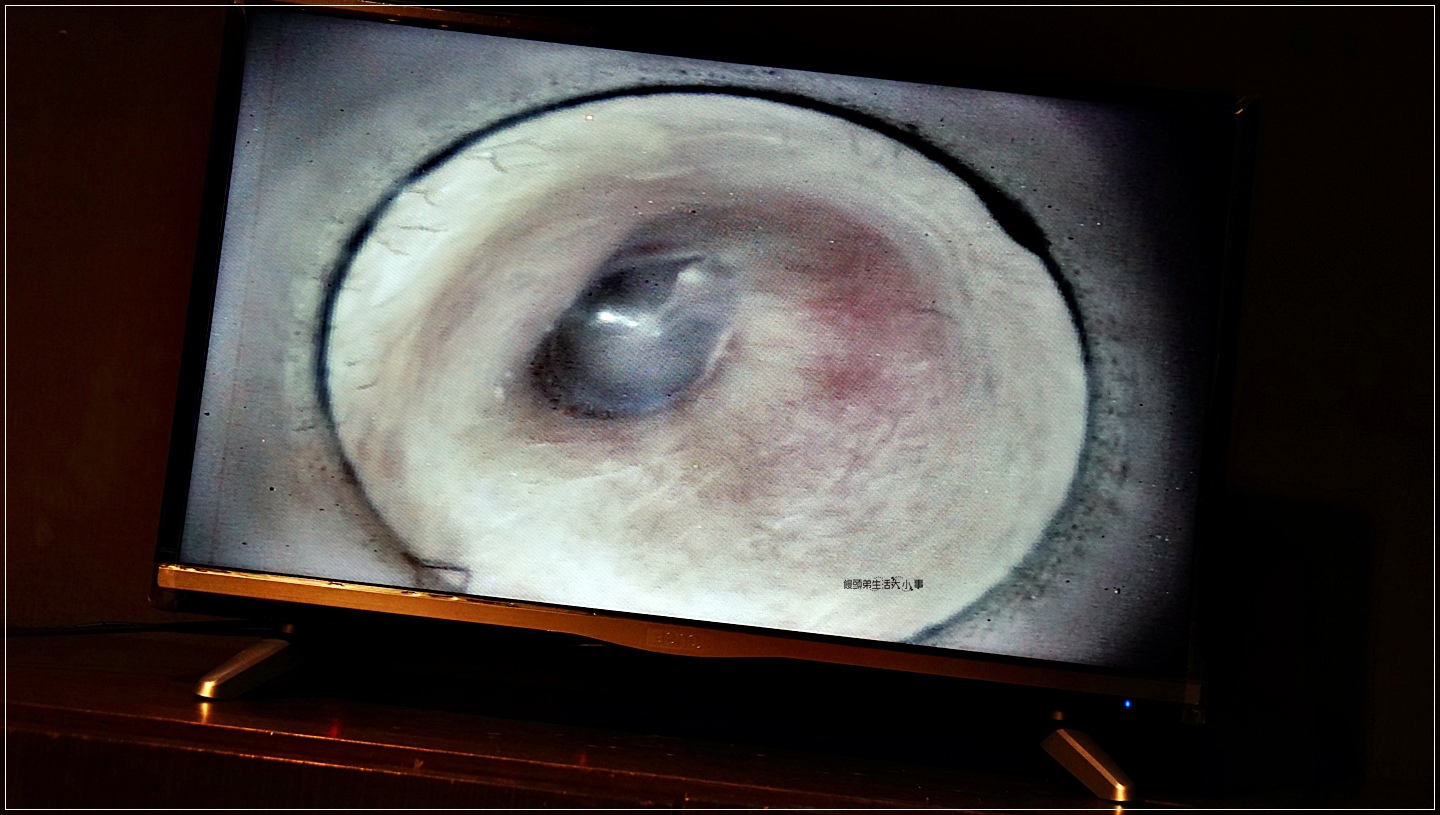 /tmp/phpHvUi7N /tmp/phpHvUi7N