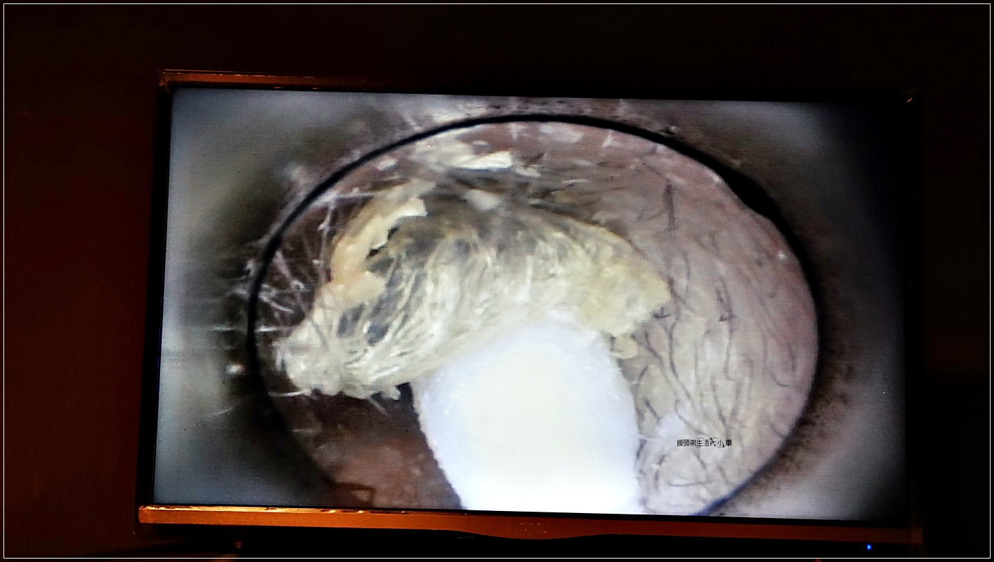 /tmp/phpDxvQ1f /tmp/phpDxvQ1f