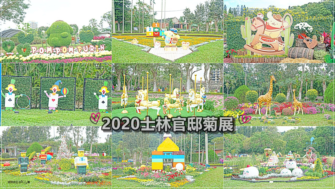 2020士林官邸藝菊童遊／士林捷運站～20萬盆菊花花海、超萌布丁狗打造13個展區，連續17天限定菊展