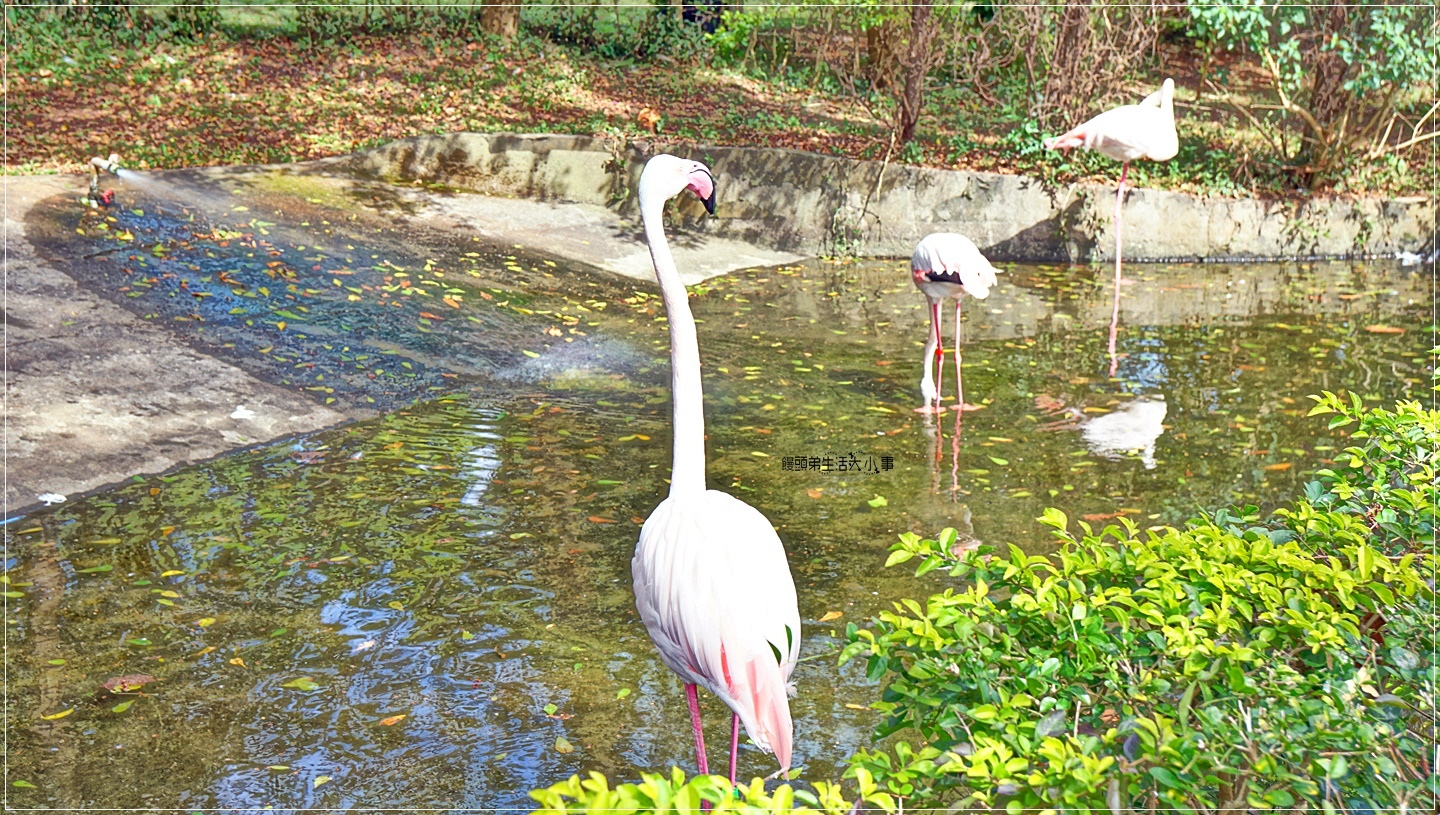 /tmp/phpluShCY /tmp/phpluShCY