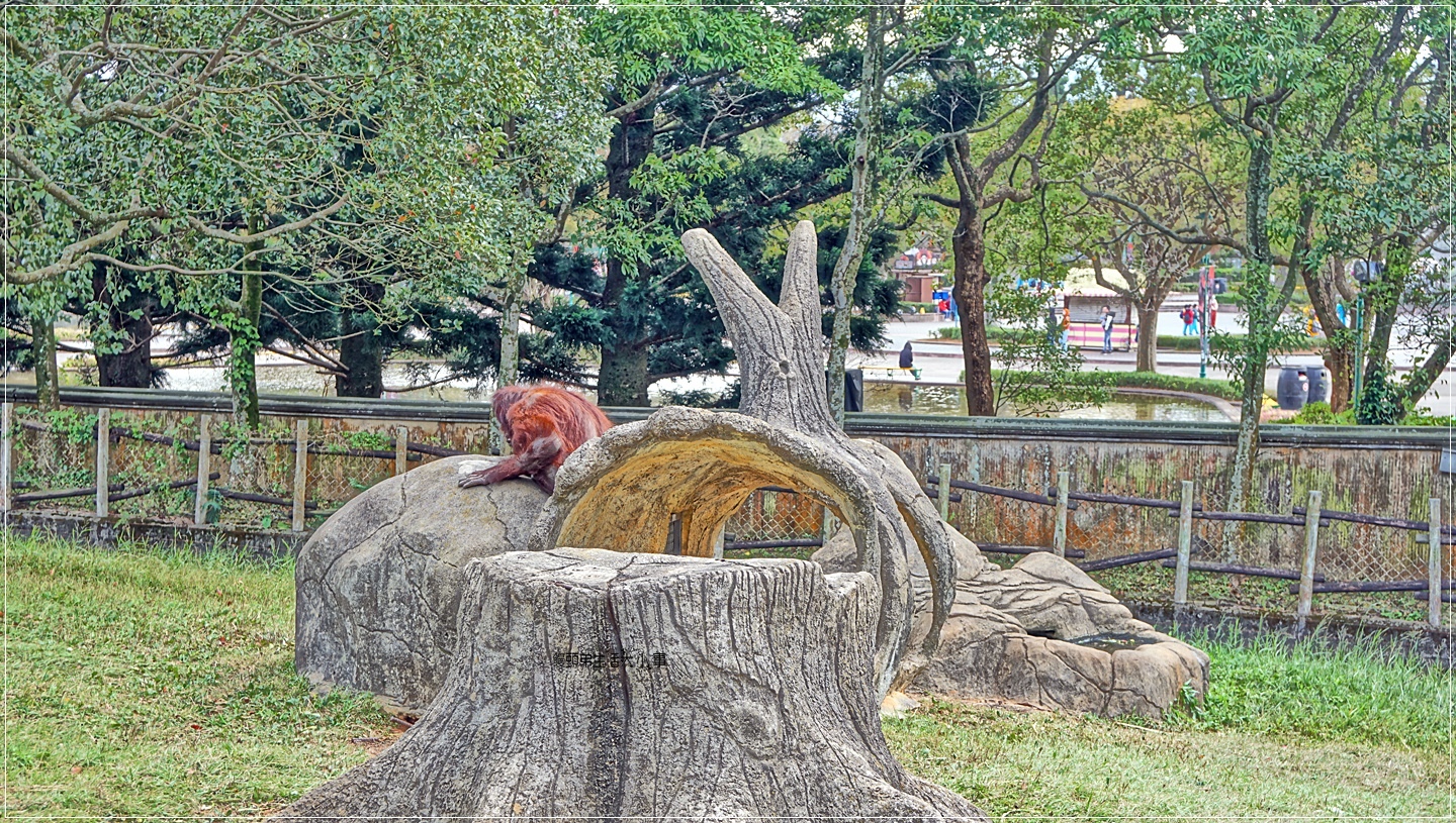 /tmp/phpBddf1w /tmp/phpBddf1w