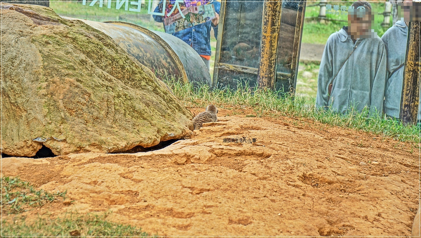 /tmp/phpWrufoh /tmp/phpWrufoh