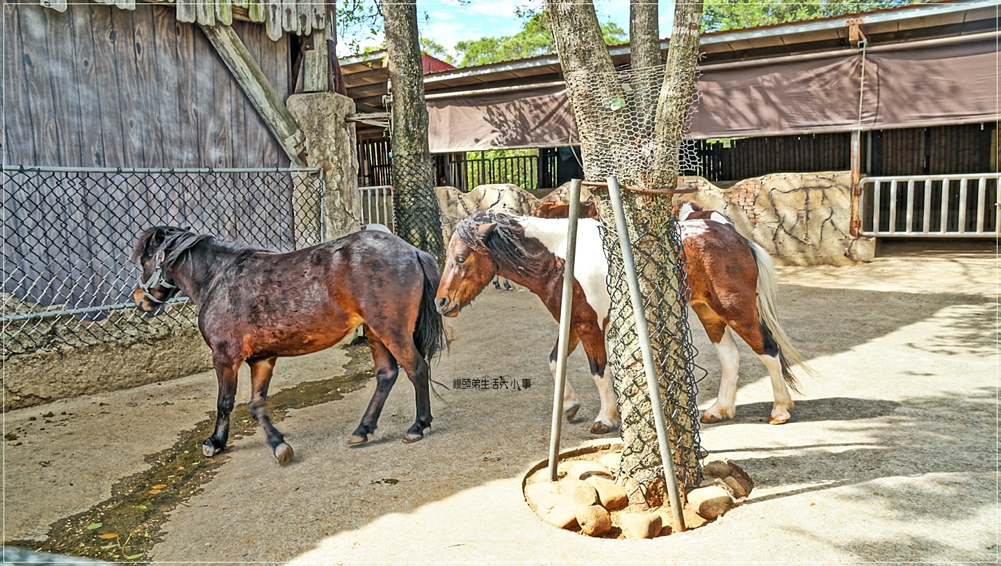 /tmp/phpEyceuW /tmp/phpEyceuW