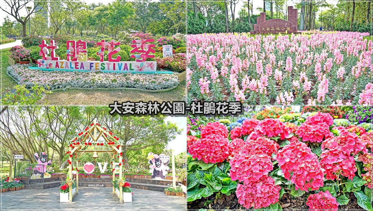 2021台北杜鵑花季／大安森林公園站～打卡新秘境，杜鵑花季開跑囉！有美麗杜鵑花、繡球花、薰衣草