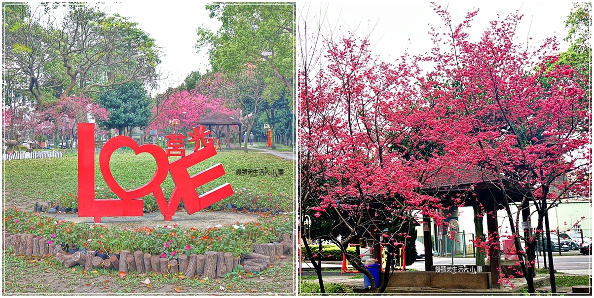 ,桃園,中壢,桃園景點,中壢景點,莒光環保公園,桃園櫻花,中壢櫻花,八重櫻,櫻花,