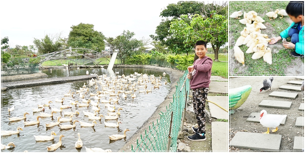 宜蘭五結必訪景點 | 探索奇幻樂園！鴨寮故事館，親子活動歡樂鴨鴨時光