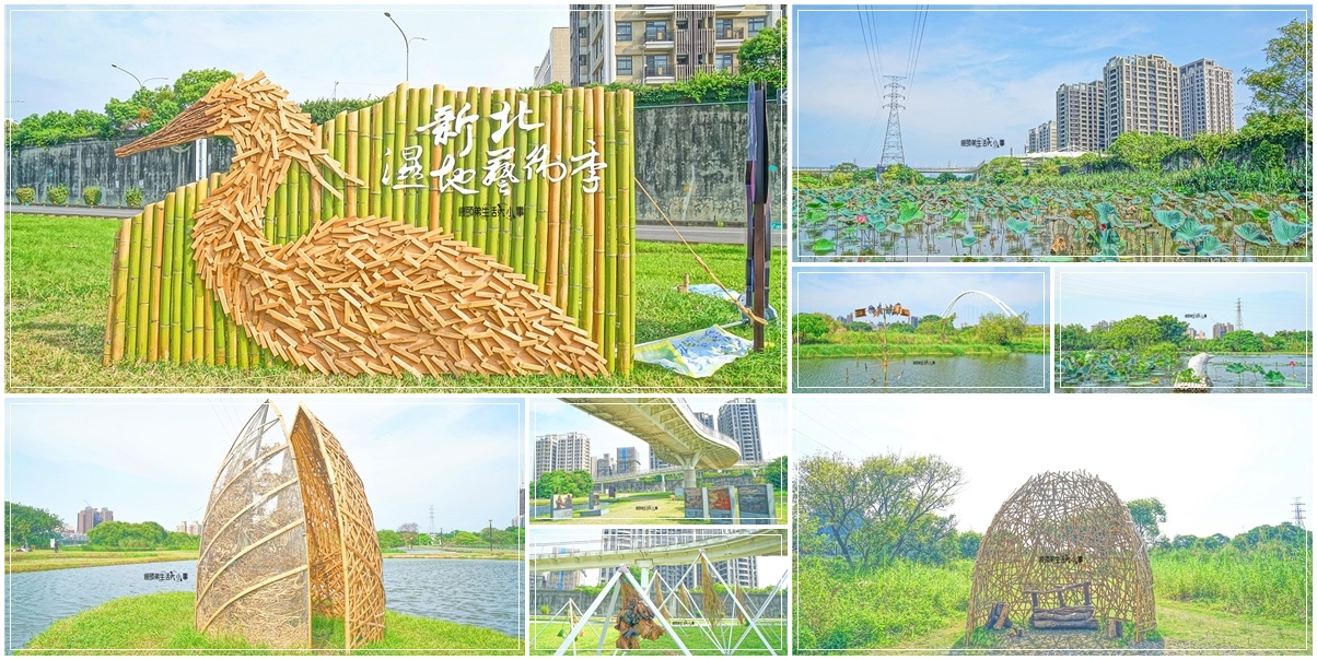 新北,板橋,新北活動,板橋活動,2023新北濕地藝術季,新北濕地藝術季,新北展覽,板橋展覽,裝置藝術,匯聚,435藝文特區,新海二期人工溼地,溼地