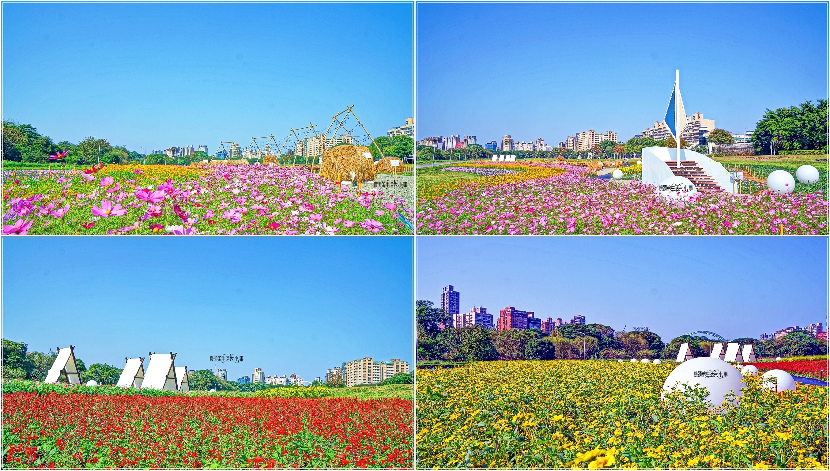 台北,中正,台北景點,中正景點,古亭河濱公園花海,古亭河濱公園,古亭,台北公園,花海,河濱公園