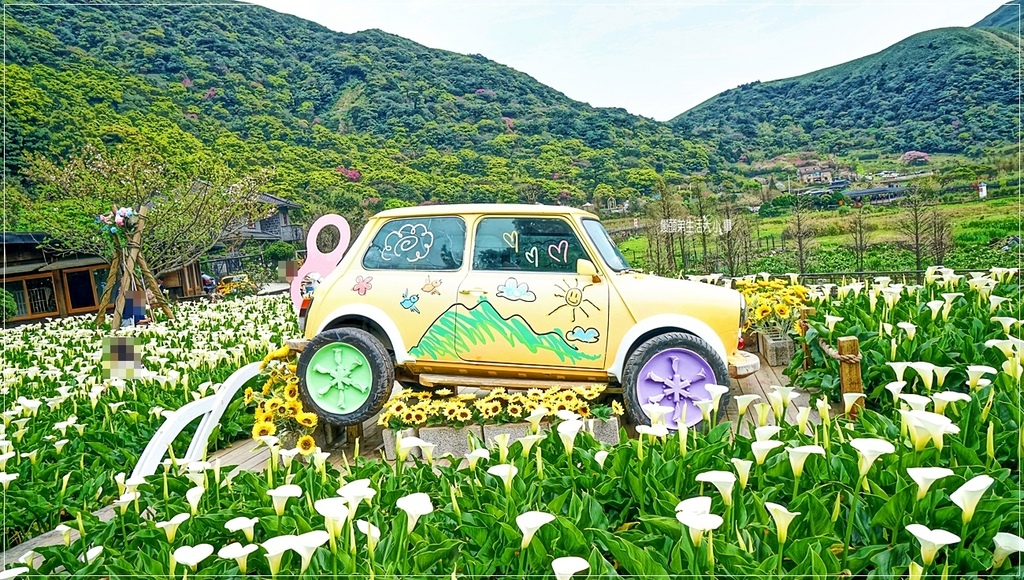 台北,北投,台北景點,北投景點,名陽匍休閒農莊,台北花季,北投花季,台北農場,北投農場,花海,海芋,賞花