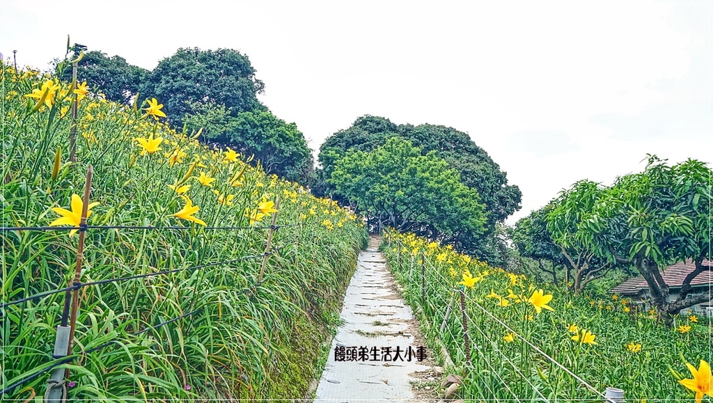 /tmp/phpUYeM8L /tmp/phpUYeM8L