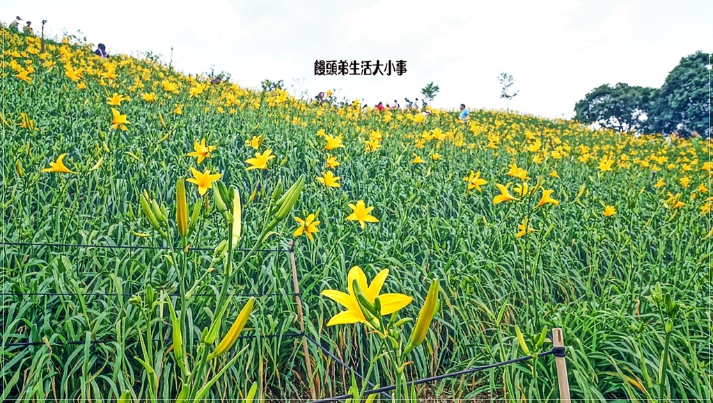 /tmp/phpHdJGAW /tmp/phpHdJGAW