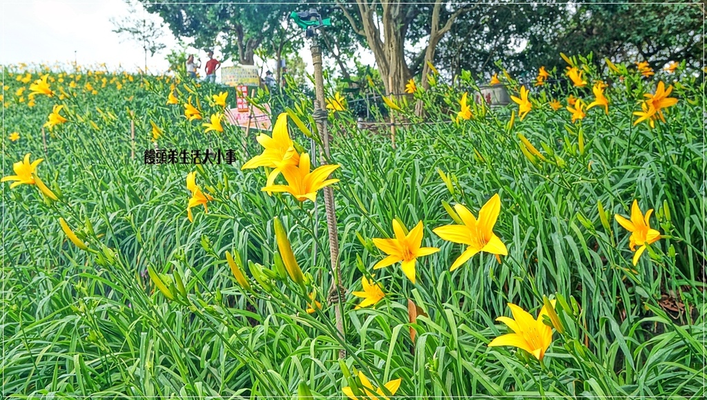 /tmp/php7pMi2D /tmp/php7pMi2D