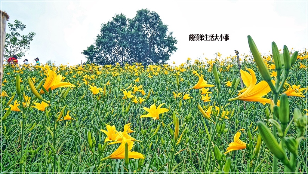 /tmp/php0SCaw9 /tmp/php0SCaw9