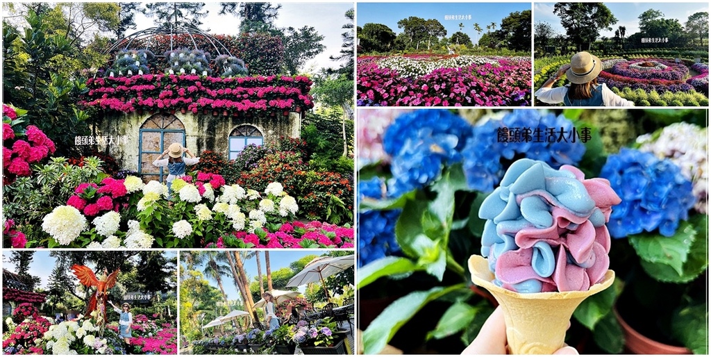苗栗,卓蘭,苗栗景點,卓蘭景點,花露農場,農場,花園,繡球花,波波球,繡球花冰淇淋